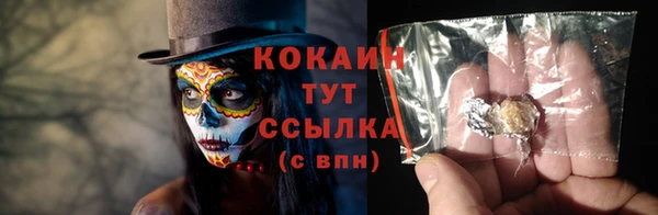 кокс Алексин