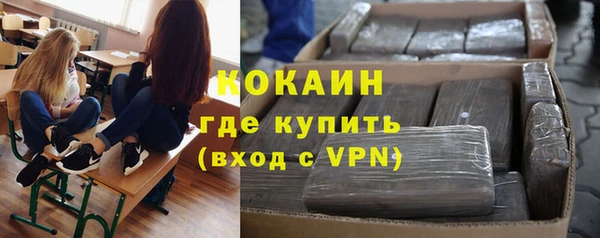 кокс Алексин