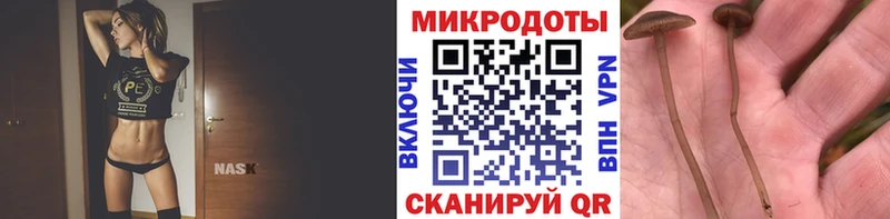Галлюциногенные грибы прущие грибы  Бобров 